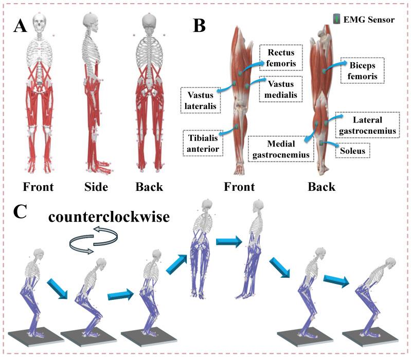 https://cdn.ncbi.nlm.nih.gov/pmc/blobs/a1ed/11939504/725a7c6ecbb3/bioengineering-12-00220-g001.jpg