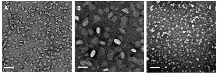 https://cdn.ncbi.nlm.nih.gov/pmc/blobs/a1ed/6695986/9860753104b2/molecules-24-02829-g005.jpg