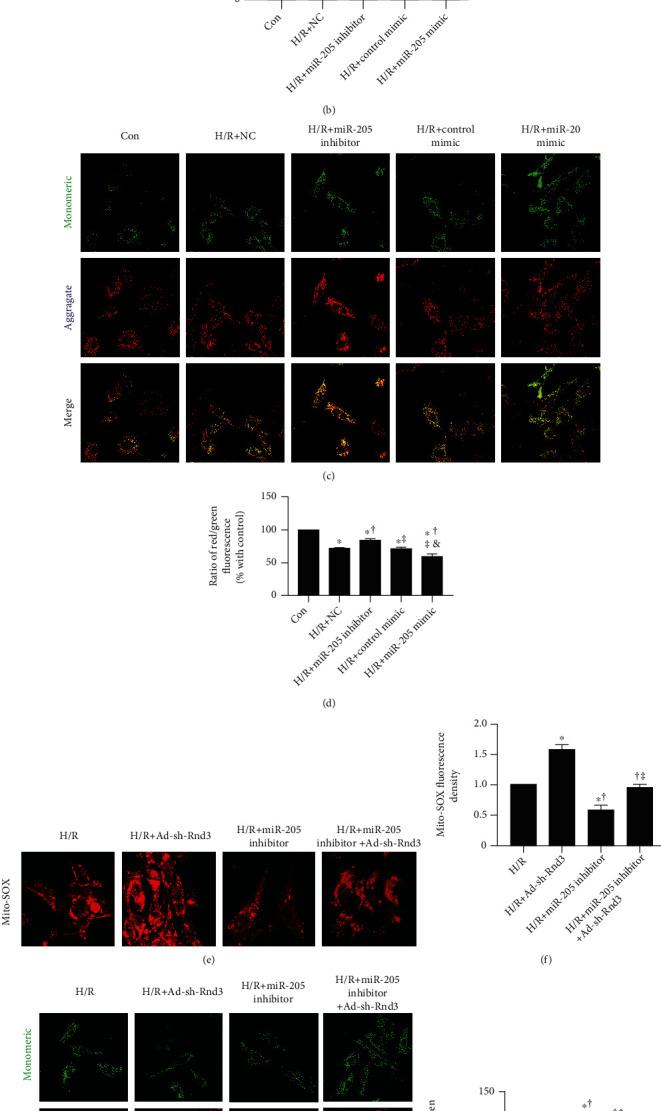 https://cdn.ncbi.nlm.nih.gov/pmc/blobs/a1ed/8263220/5a5046a5ccb6/OMCL2021-9986506.007.jpg