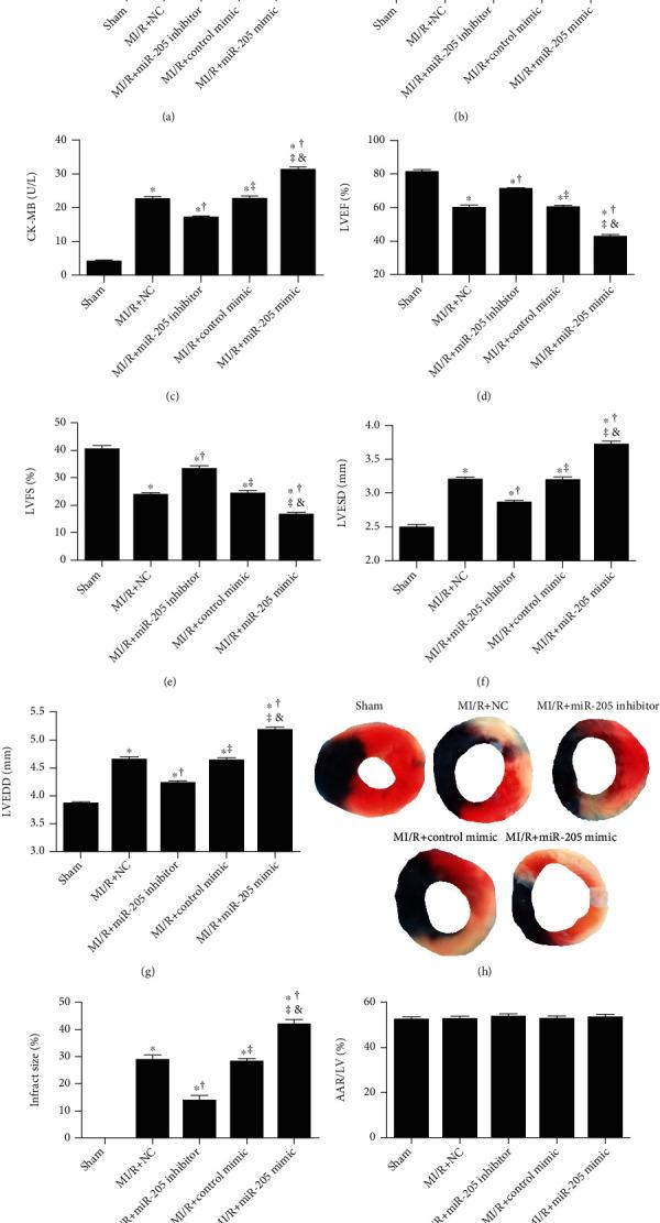 https://cdn.ncbi.nlm.nih.gov/pmc/blobs/a1ed/8263220/692fc09a44ce/OMCL2021-9986506.001.jpg