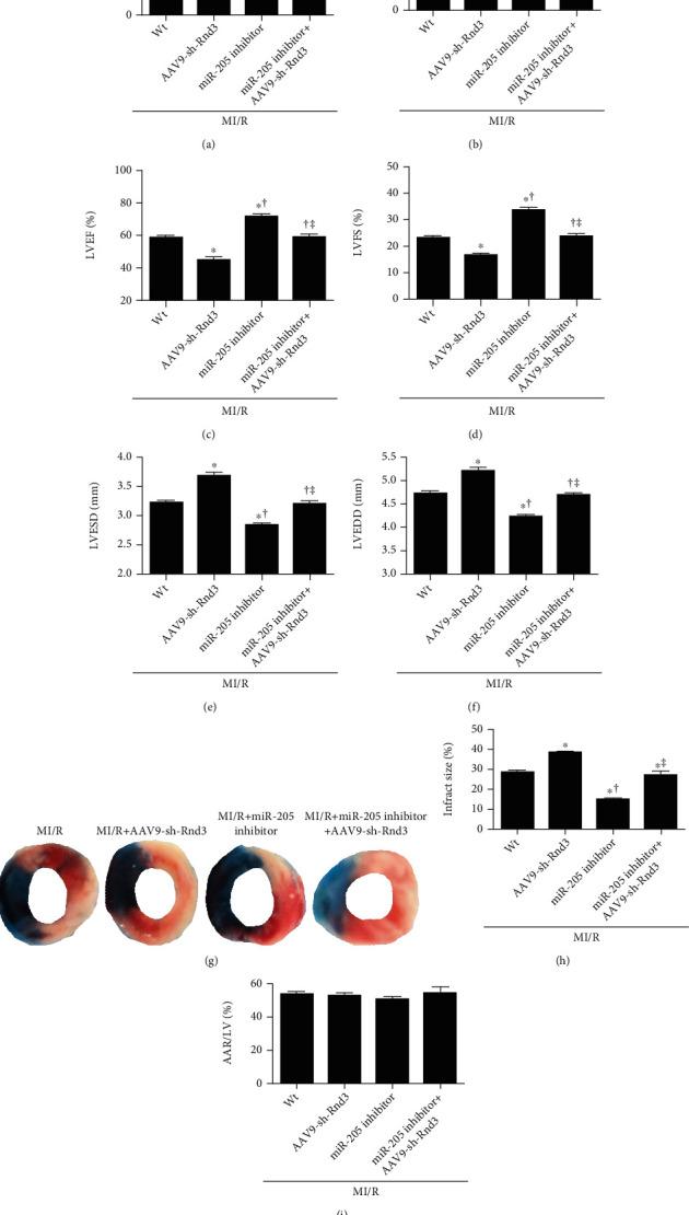 https://cdn.ncbi.nlm.nih.gov/pmc/blobs/a1ed/8263220/d97a43f7f3b8/OMCL2021-9986506.004.jpg