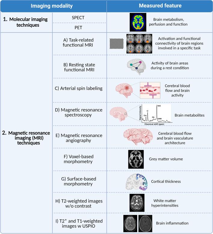 https://cdn.ncbi.nlm.nih.gov/pmc/blobs/a1f0/10207747/0240add99dd6/10194_2023_1590_Fig2_HTML.jpg