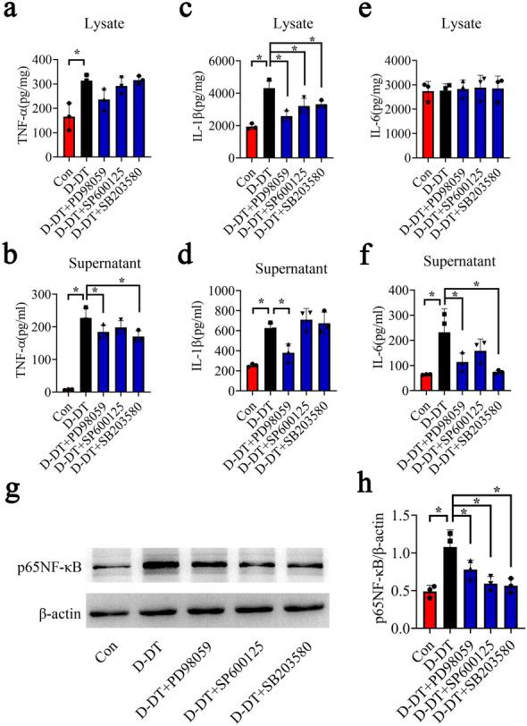 https://cdn.ncbi.nlm.nih.gov/pmc/blobs/a1f3/9375920/7e53f8aef4d9/13578_2022_867_Fig7_HTML.jpg