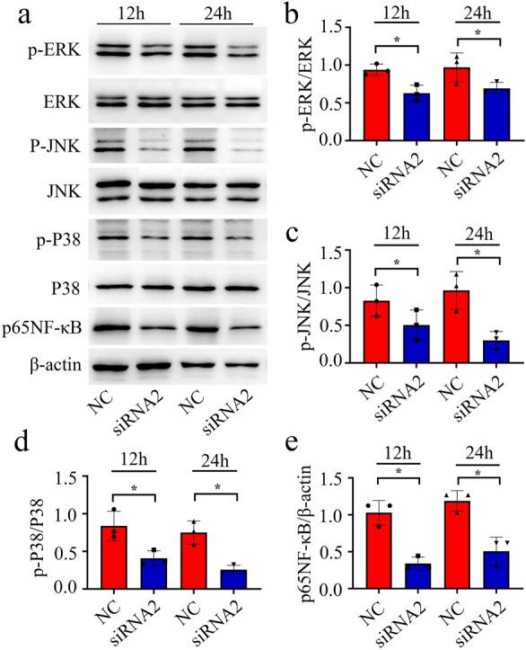 https://cdn.ncbi.nlm.nih.gov/pmc/blobs/a1f3/9375920/cc565ce33f71/13578_2022_867_Fig6_HTML.jpg