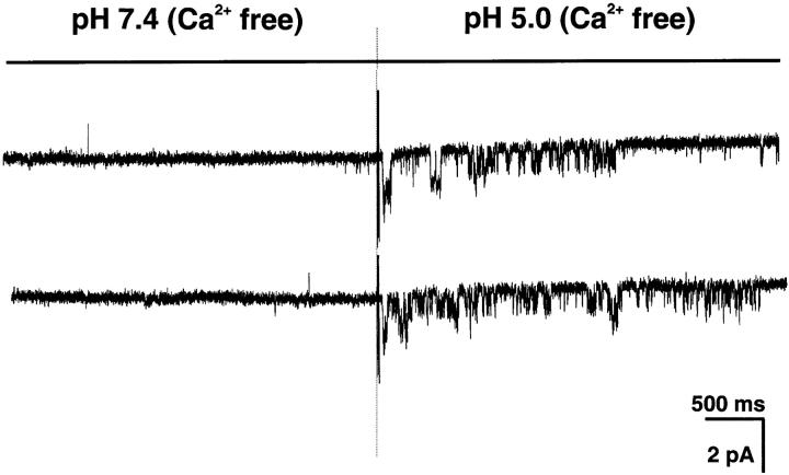 https://cdn.ncbi.nlm.nih.gov/pmc/blobs/a1f4/2229538/c550a45bd271/20028574f8.jpg