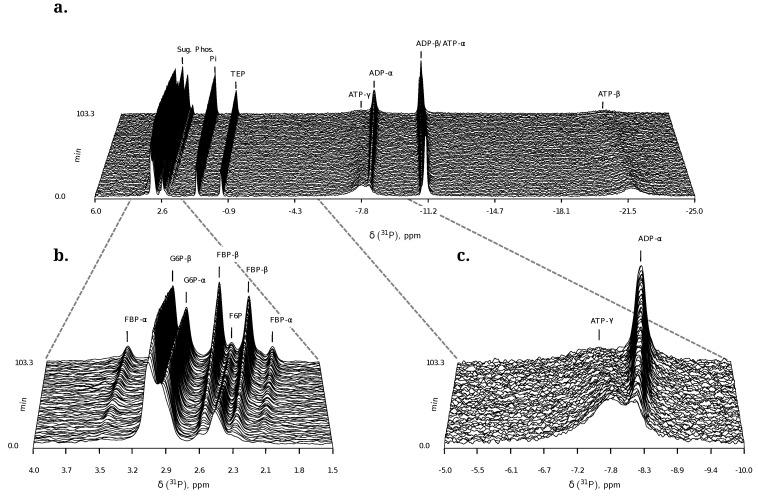 https://cdn.ncbi.nlm.nih.gov/pmc/blobs/a1f4/3901242/fcdc6a4f648a/metabolites-02-00818-g006.jpg