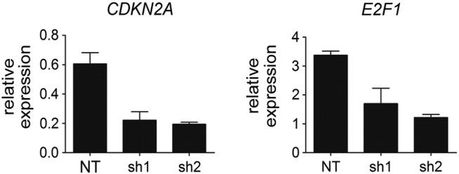 https://cdn.ncbi.nlm.nih.gov/pmc/blobs/a1f4/4916950/00a092f93f33/gr9.jpg