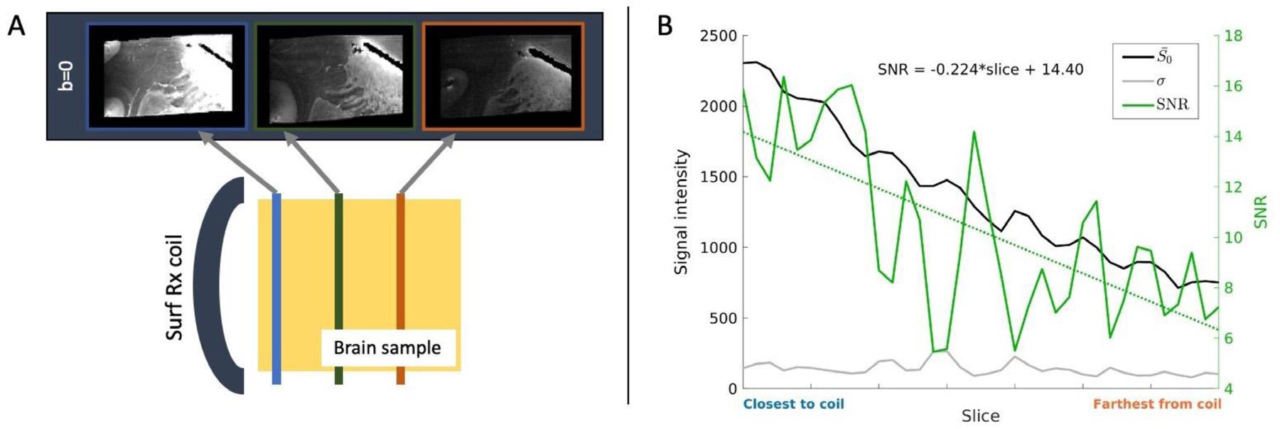 https://cdn.ncbi.nlm.nih.gov/pmc/blobs/a1f7/8631240/f392608885f7/nihms-1757346-f0002.jpg
