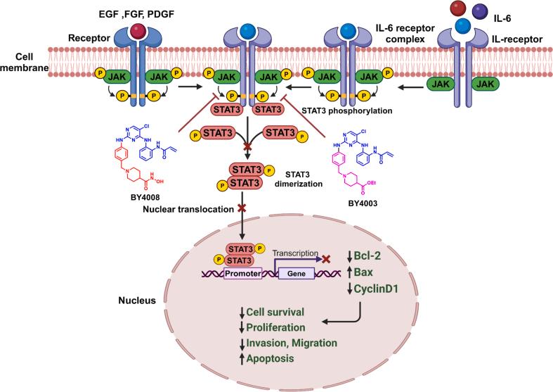 https://cdn.ncbi.nlm.nih.gov/pmc/blobs/a1f8/11579875/aba44fa44534/gr10.jpg