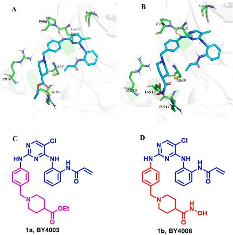 https://cdn.ncbi.nlm.nih.gov/pmc/blobs/a1f8/11579875/bc0b2306266b/gr1.jpg