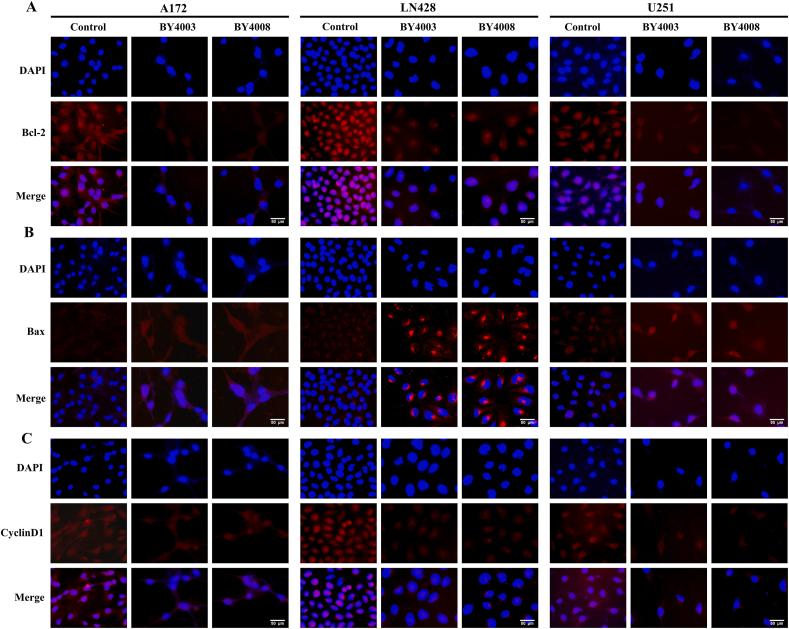 https://cdn.ncbi.nlm.nih.gov/pmc/blobs/a1f8/11579875/d3b3ff714718/gr8.jpg
