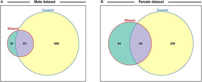 https://cdn.ncbi.nlm.nih.gov/pmc/blobs/a1f8/8341641/6a2b4bded74f/fpsyt-12-699033-g0007.jpg