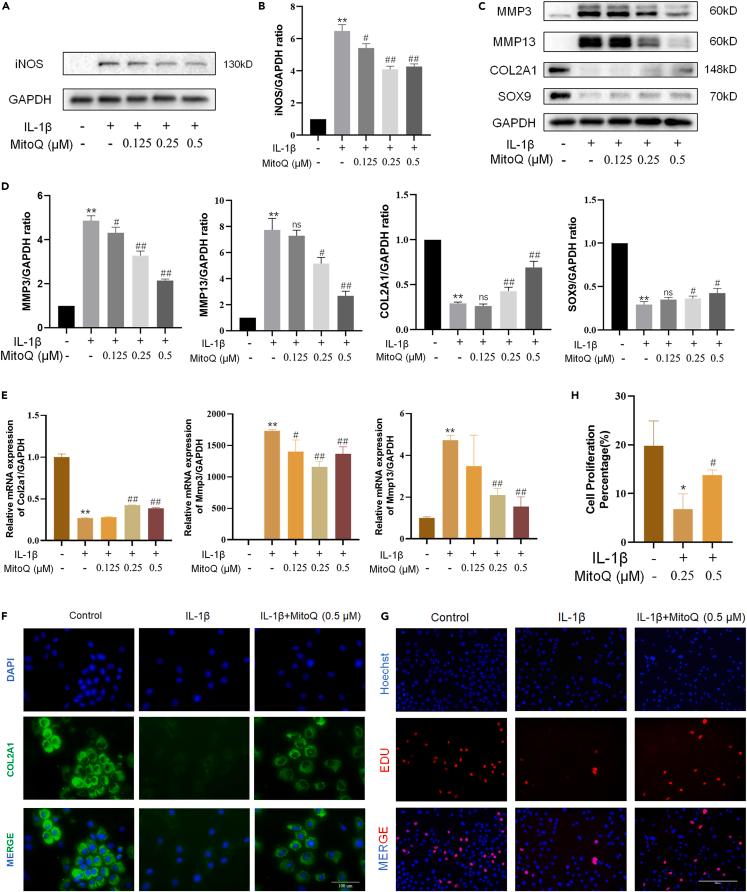 https://cdn.ncbi.nlm.nih.gov/pmc/blobs/a1fb/10483061/08d0e269f315/gr3.jpg