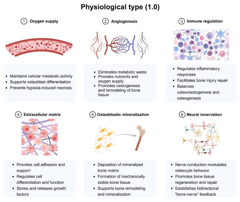 https://cdn.ncbi.nlm.nih.gov/pmc/blobs/a1fb/12270736/aced9d9027e1/gr2.jpg