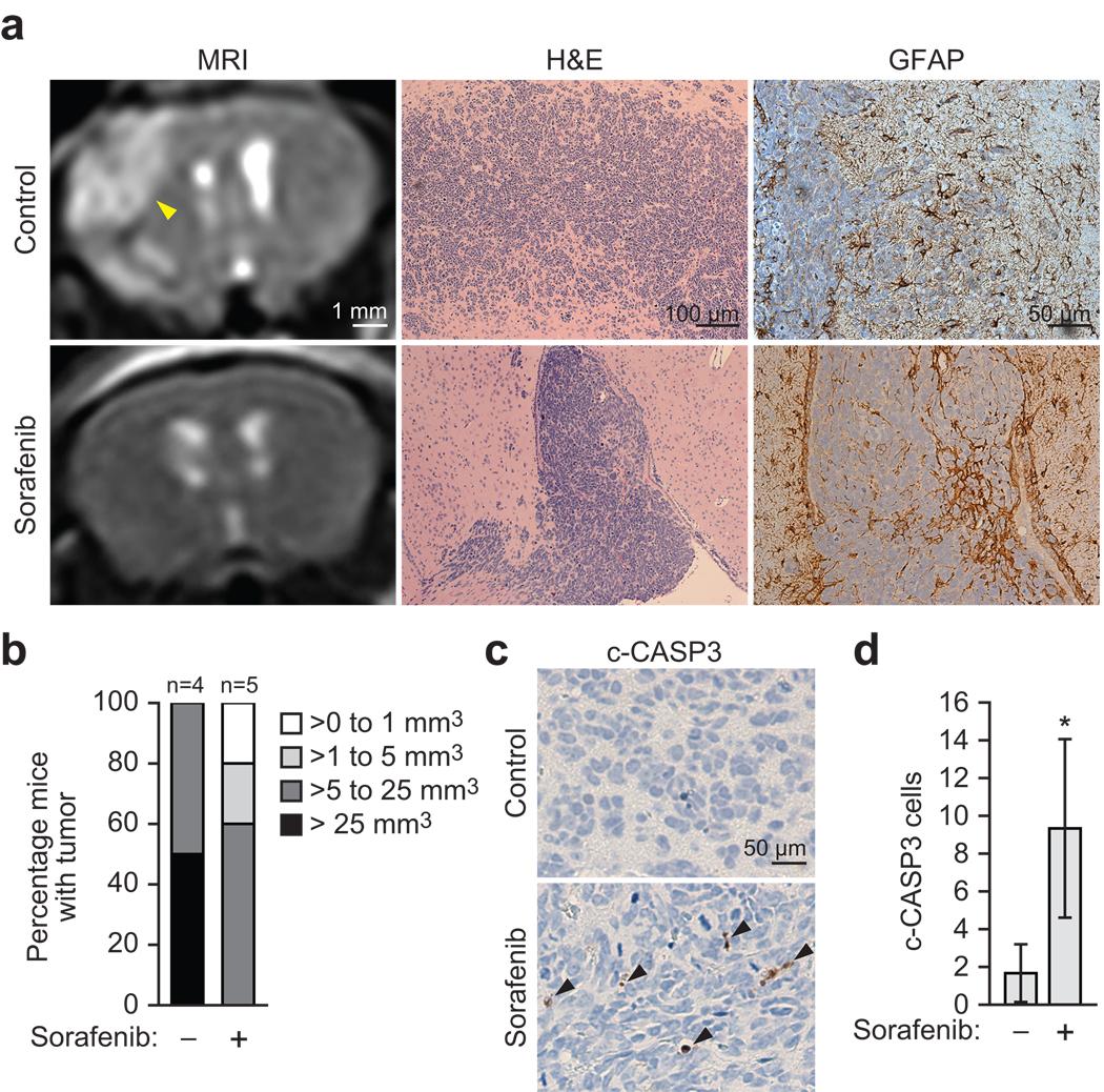 https://cdn.ncbi.nlm.nih.gov/pmc/blobs/a1fc/2882506/cae4560b6bb4/nihms199057f5.jpg