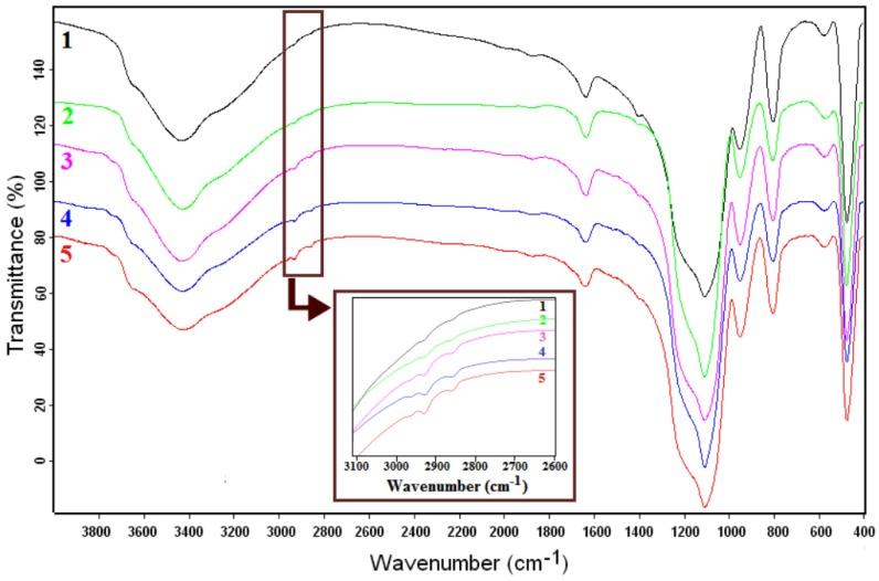 https://cdn.ncbi.nlm.nih.gov/pmc/blobs/a1fc/5333032/d2d003f6ce91/nanomaterials-07-00047-g002.jpg