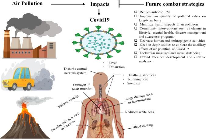 https://cdn.ncbi.nlm.nih.gov/pmc/blobs/a1fd/8906062/be56e4901022/11356_2022_19484_Fig7_HTML.jpg