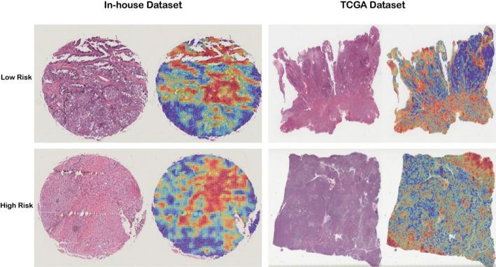 https://cdn.ncbi.nlm.nih.gov/pmc/blobs/a1ff/12214144/47e12dc4ea3f/12672_2025_3011_Fig5_HTML.jpg