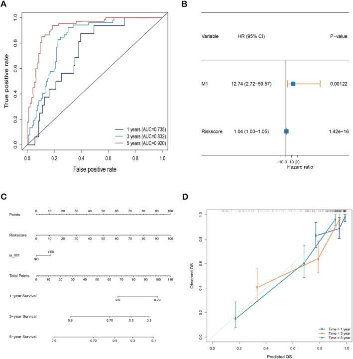 https://cdn.ncbi.nlm.nih.gov/pmc/blobs/a1ff/12214144/621cd80bb0ef/12672_2025_3011_Fig3_HTML.jpg