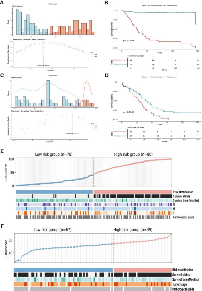 https://cdn.ncbi.nlm.nih.gov/pmc/blobs/a1ff/12214144/b1dcb930b743/12672_2025_3011_Fig4_HTML.jpg
