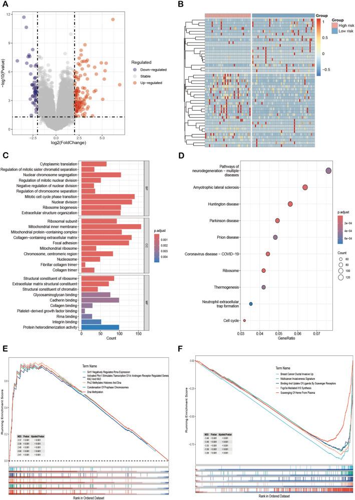 https://cdn.ncbi.nlm.nih.gov/pmc/blobs/a1ff/12214144/dbbccab0dbc6/12672_2025_3011_Fig6_HTML.jpg