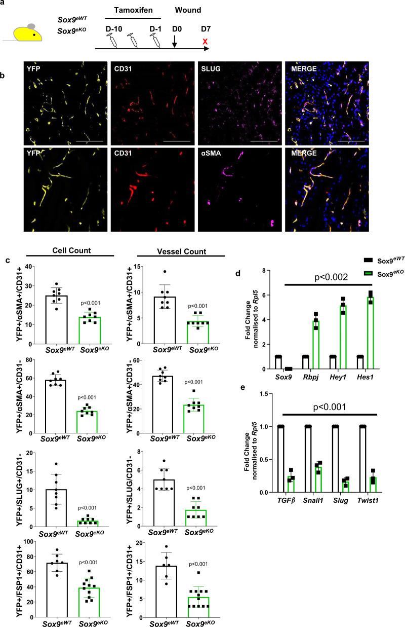 https://cdn.ncbi.nlm.nih.gov/pmc/blobs/a1ff/8105340/b129caa36619/41467_2021_22717_Fig4_HTML.jpg