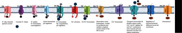 https://cdn.ncbi.nlm.nih.gov/pmc/blobs/a203/8057909/2f4ed4846807/IJG2021-5578727.002.jpg