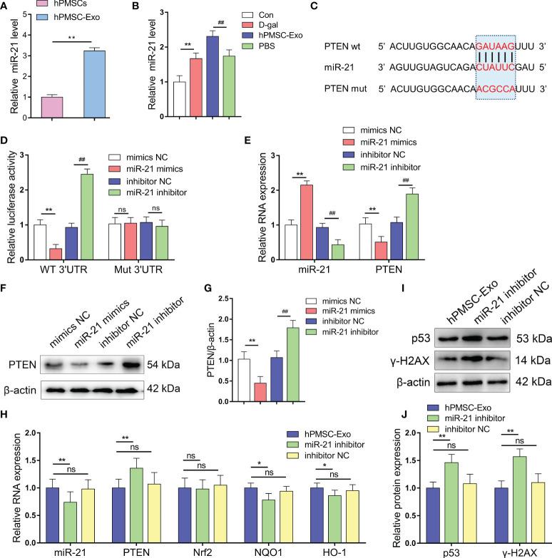 https://cdn.ncbi.nlm.nih.gov/pmc/blobs/a20a/8649962/1a70bb45a1ea/fimmu-12-780897-g004.jpg