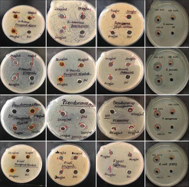 https://cdn.ncbi.nlm.nih.gov/pmc/blobs/a20c/11684565/1ee202aff23e/JISP-28-304-g002.jpg