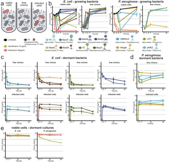 https://cdn.ncbi.nlm.nih.gov/pmc/blobs/a20d/10761892/8db5d3042fa6/41467_2023_44157_Fig1_HTML.jpg