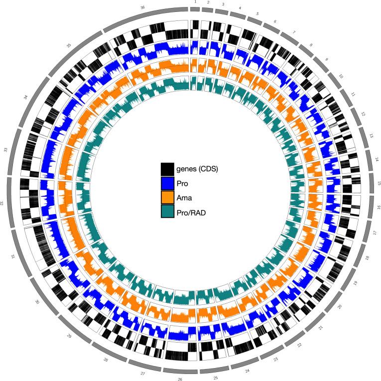 https://cdn.ncbi.nlm.nih.gov/pmc/blobs/a20d/12211006/88968de625c7/spectrum.00566-25.f001.jpg