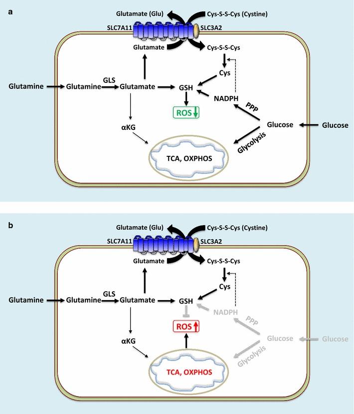 https://cdn.ncbi.nlm.nih.gov/pmc/blobs/a20e/5993148/1e435aa23db9/40880_2018_288_Fig3_HTML.jpg
