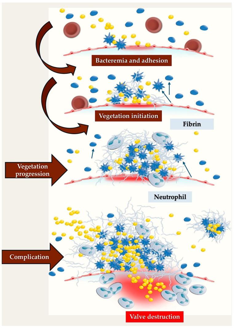 https://cdn.ncbi.nlm.nih.gov/pmc/blobs/a20f/12114098/4fe75a85b070/metabolites-15-00328-g003.jpg