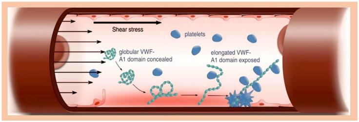https://cdn.ncbi.nlm.nih.gov/pmc/blobs/a20f/12114098/72ff53d59082/metabolites-15-00328-g004.jpg