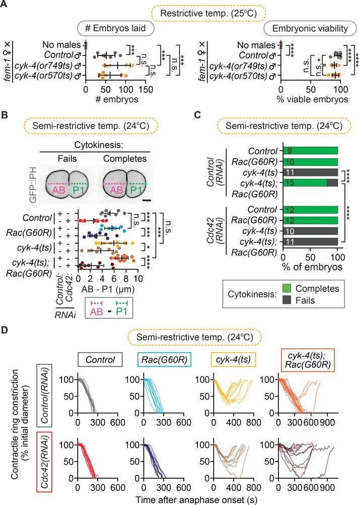 https://cdn.ncbi.nlm.nih.gov/pmc/blobs/a210/5415020/78267fbf401e/1258fig6.jpg