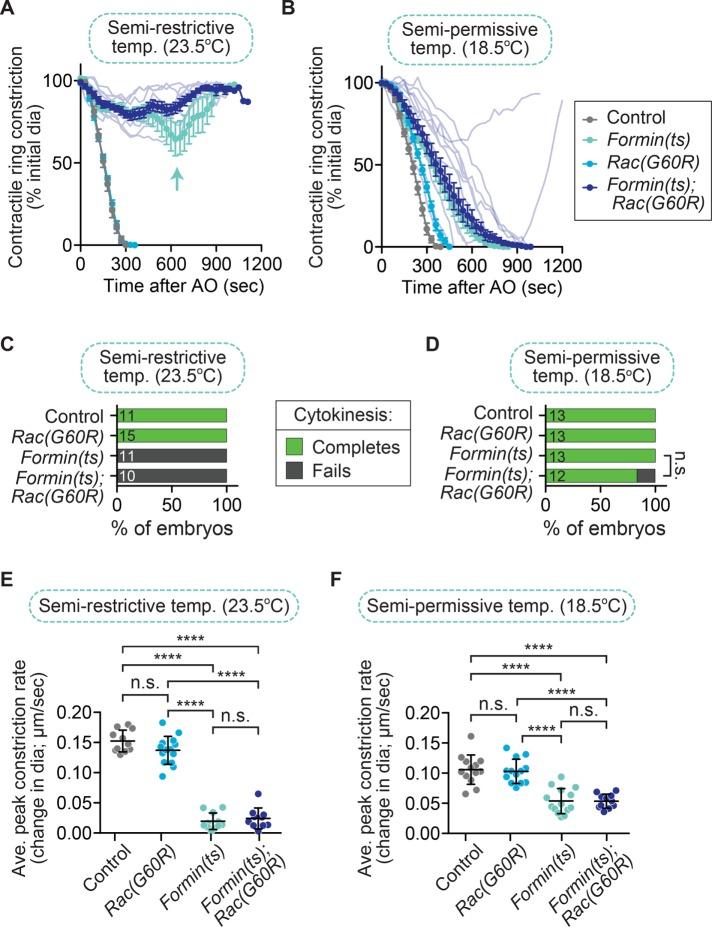 https://cdn.ncbi.nlm.nih.gov/pmc/blobs/a210/5415020/fefdf4ae3034/1258fig2.jpg