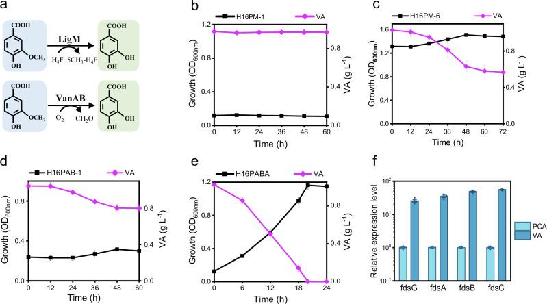 https://cdn.ncbi.nlm.nih.gov/pmc/blobs/a212/11519575/393c15f602b2/41467_2024_53609_Fig2_HTML.jpg