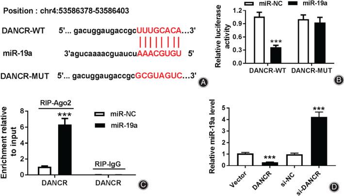 https://cdn.ncbi.nlm.nih.gov/pmc/blobs/a212/7862159/66eb38f76156/OS-13-276-g004.jpg