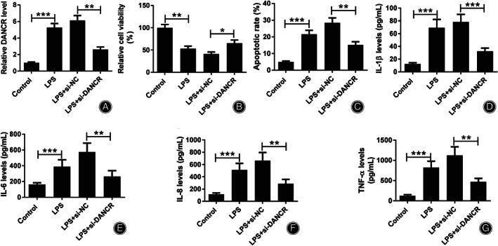 https://cdn.ncbi.nlm.nih.gov/pmc/blobs/a212/7862159/7717a8b2d8c6/OS-13-276-g003.jpg