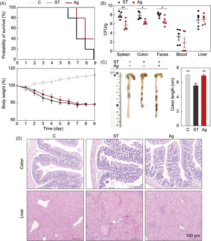 https://cdn.ncbi.nlm.nih.gov/pmc/blobs/a214/11686091/ef238e6b9a01/MLF2-3-551-g001.jpg