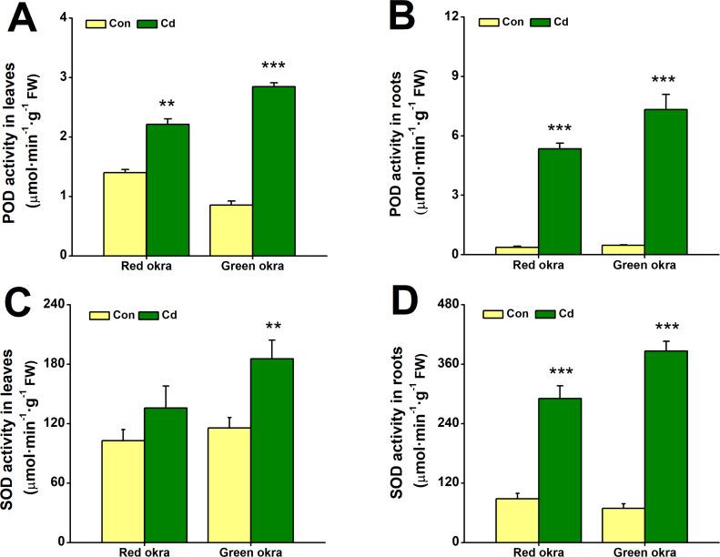 https://cdn.ncbi.nlm.nih.gov/pmc/blobs/a214/12126092/b832b06c6cc1/peerj-13-19498-g007.jpg