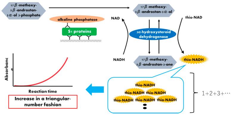 https://cdn.ncbi.nlm.nih.gov/pmc/blobs/a21a/8619787/ec4e2d7d4861/microorganisms-09-02214-g001.jpg