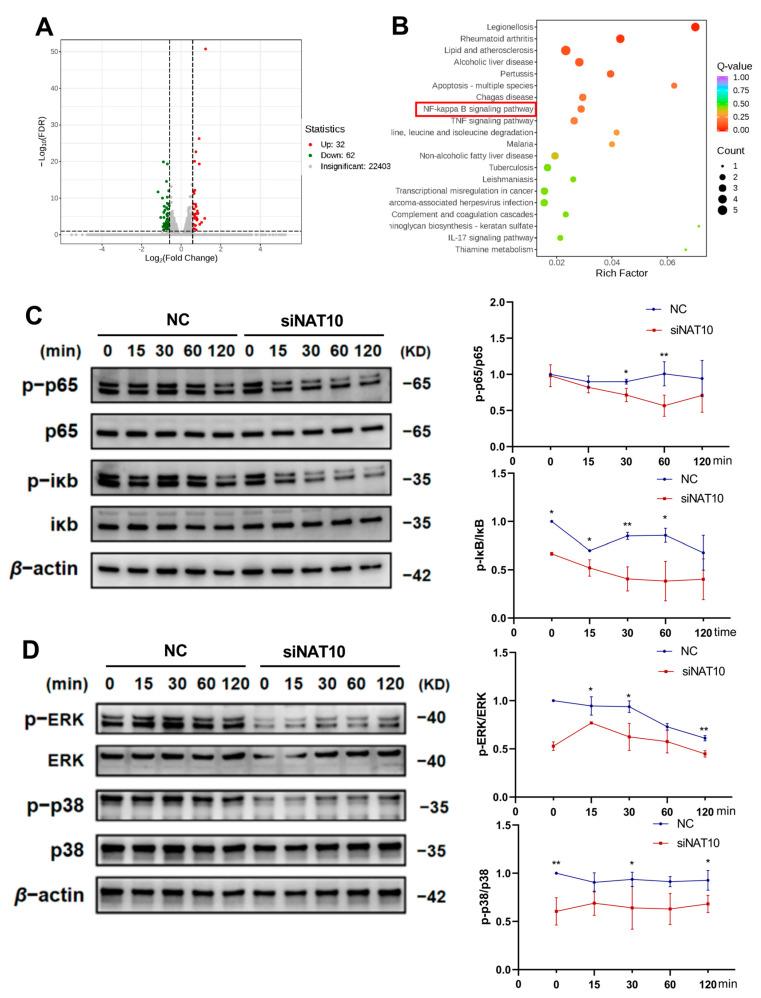 https://cdn.ncbi.nlm.nih.gov/pmc/blobs/a21c/12072506/898629944072/ijms-26-04325-g003.jpg