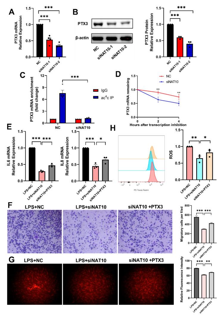 https://cdn.ncbi.nlm.nih.gov/pmc/blobs/a21c/12072506/c6d3ca91740d/ijms-26-04325-g004.jpg