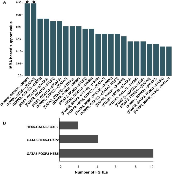 https://cdn.ncbi.nlm.nih.gov/pmc/blobs/a21d/11876843/9ae52543a970/biolopen-14-061751-g1.jpg