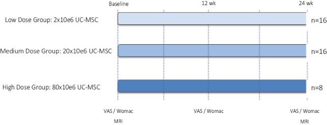 https://cdn.ncbi.nlm.nih.gov/pmc/blobs/a21e/10940813/498b0b061445/szad088_fig4.jpg