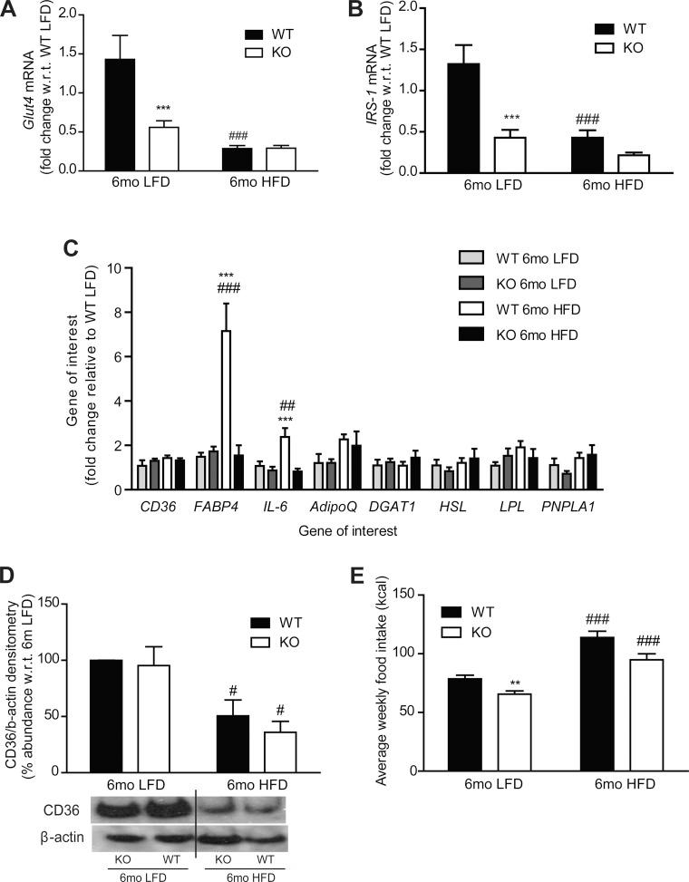 https://cdn.ncbi.nlm.nih.gov/pmc/blobs/a21f/3798700/584126e6b047/zh10191369530004.jpg