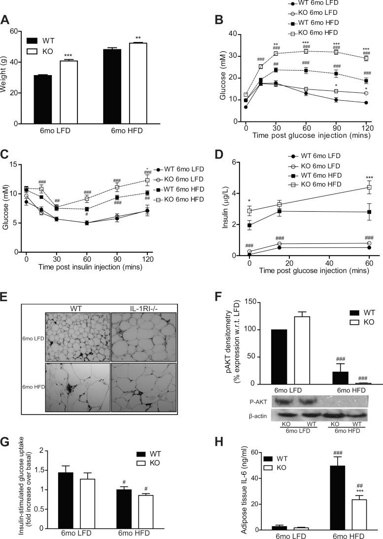 https://cdn.ncbi.nlm.nih.gov/pmc/blobs/a21f/3798700/5cb7fce2fd40/zh10191369530003.jpg
