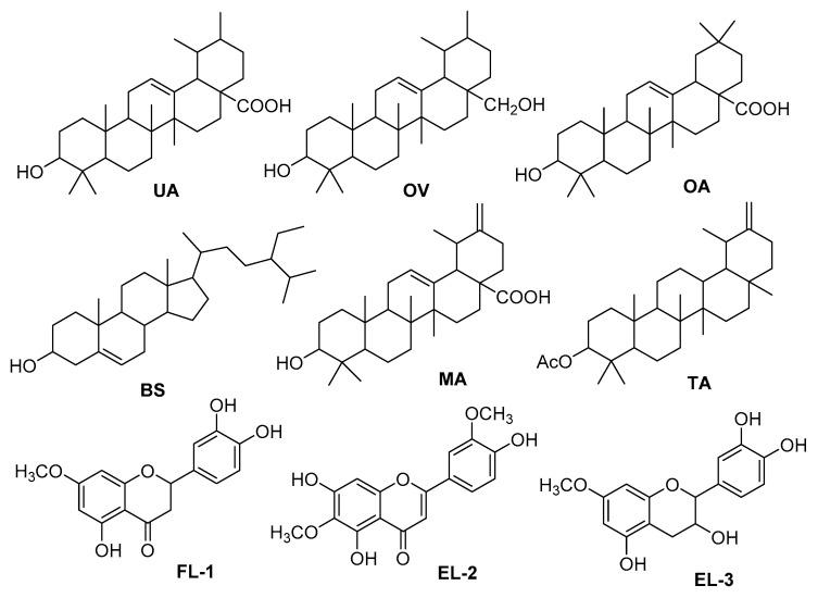 https://cdn.ncbi.nlm.nih.gov/pmc/blobs/a21f/8234977/9a9f6a1d57c4/molecules-26-03740-g003.jpg