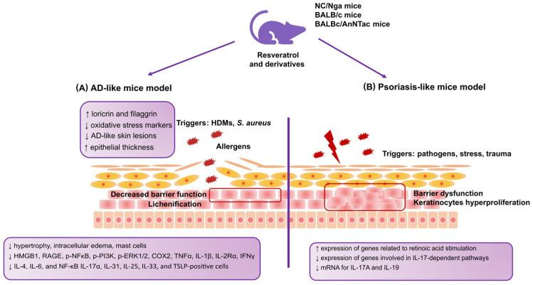 https://cdn.ncbi.nlm.nih.gov/pmc/blobs/a224/10669798/085409ed625b/antioxidants-12-01954-g002.jpg